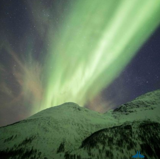 ล่าแสงเหนือด้วยรถบัสที่ Tromsø (Northern Lights chase by bus in Tromsø)