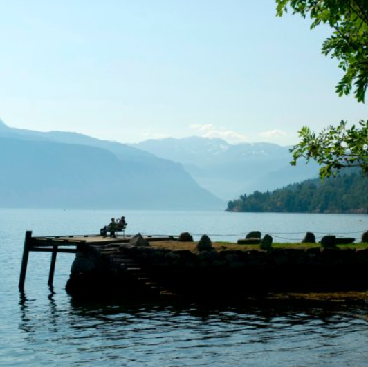 Sognefjord in a Nutshell