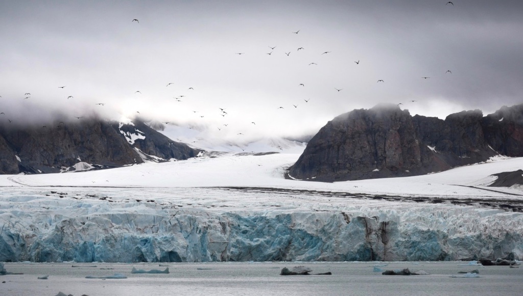Kongsfjord, สวาลบาร์ด