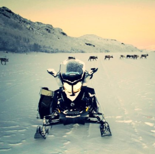 Snowmobile safari in Kirkenes