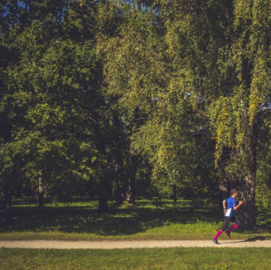 Kadriorg Park and KUMU