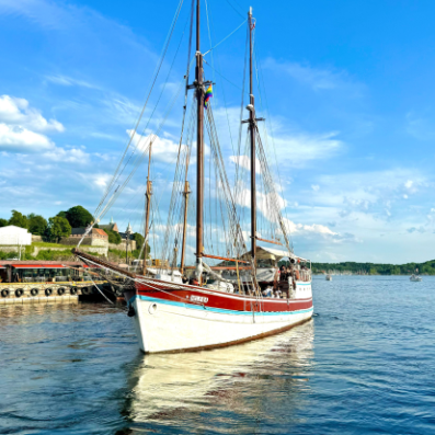 Fjord Sightseeing in Oslo