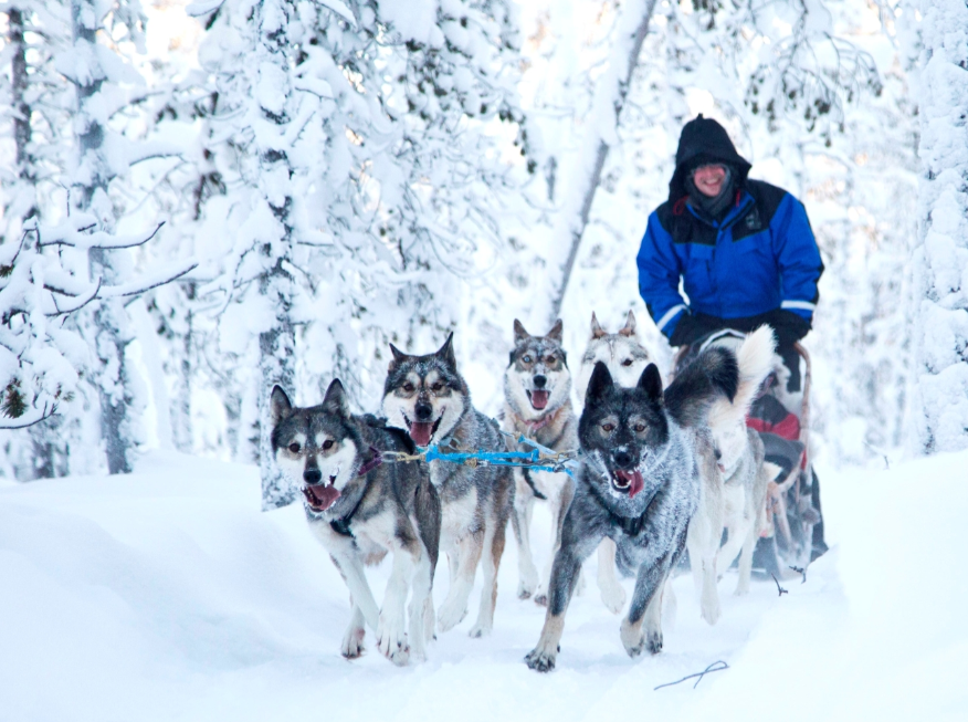 Arctic Highlights of Inari