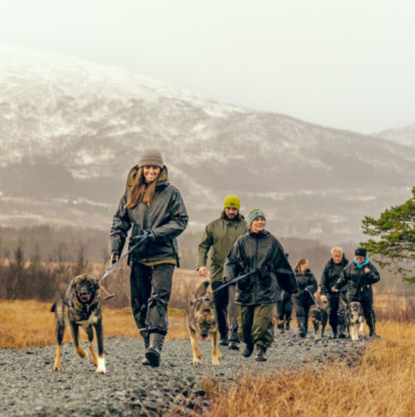 Husky Hike in Tromsø