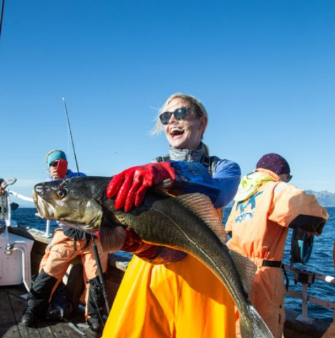 Lofoten Summer Fishing Trip