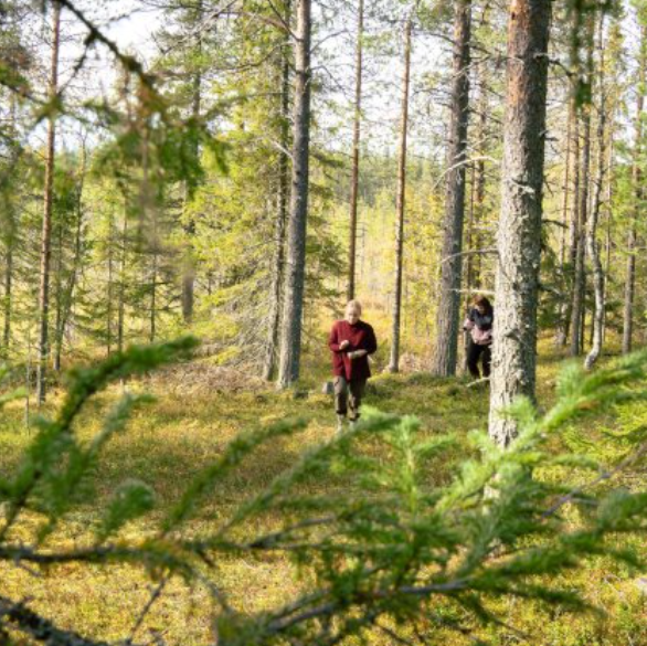 Nature walk from Arctic SnowHotel