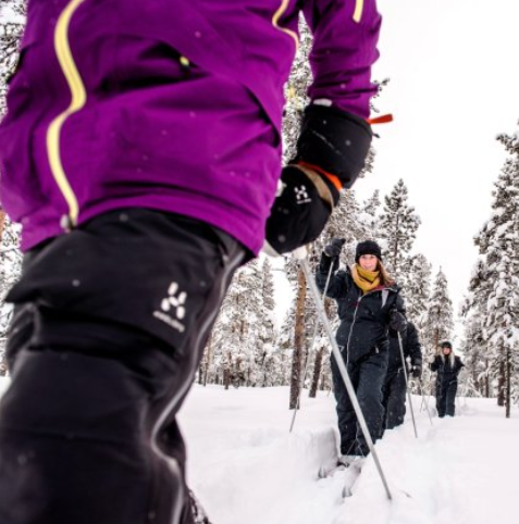 Cross-country skiing
