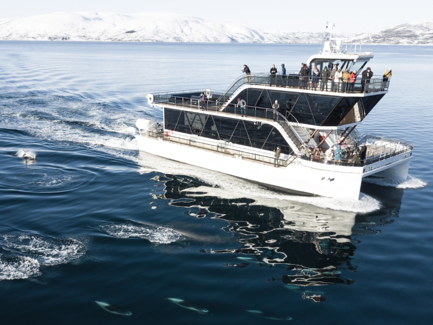 Tromsø Wildlife Safari & Northern Lights