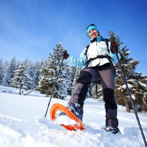 Snowshoe Trekking in Tromsø