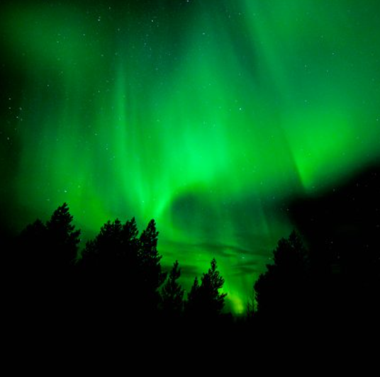 Dog Sledding overnight tour