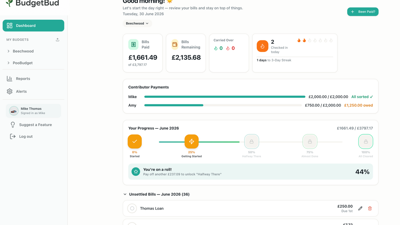 Budget Planner template preview