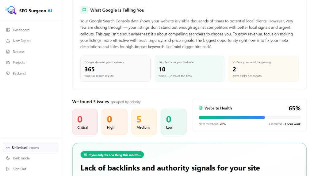 SEO Surgeon executive diagnosis — What Google Is Telling You, with metric cards, issue severity summary, and primary recommendation callout