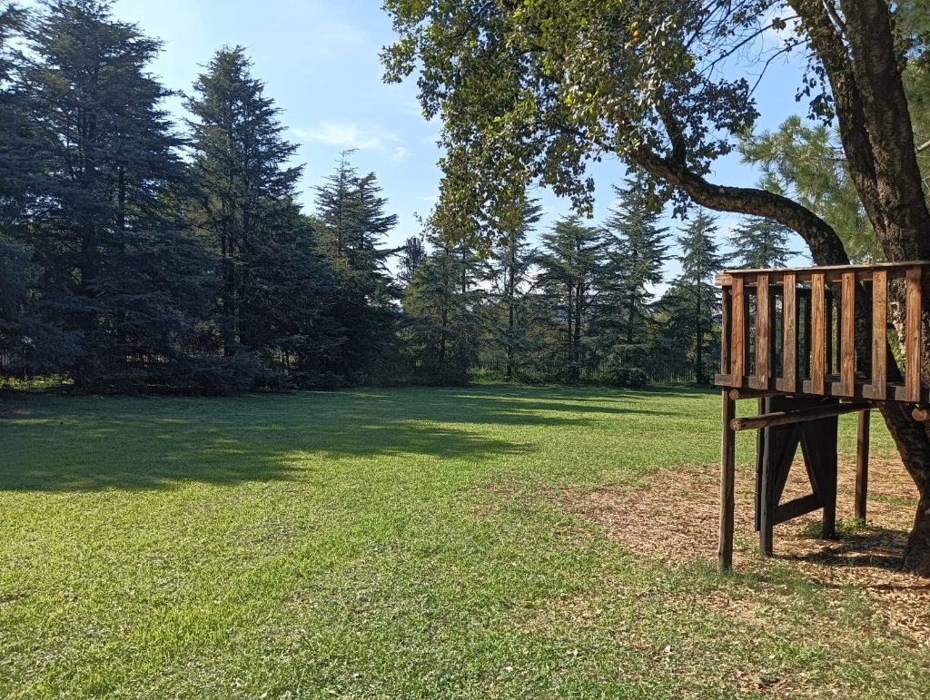 The Dynamic Garden grounds featuring an open lawn with mature trees and natural greenery
