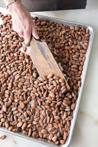 A hand moving sorted cacao beans across a tray during material selection