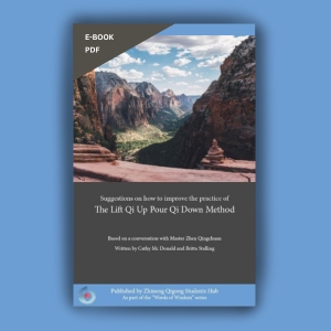 Lift Qi Up Pour Qi Down Method E-Book cover