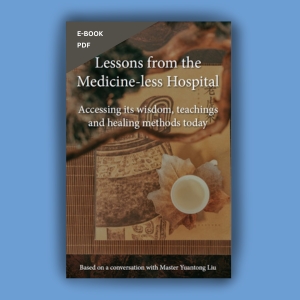 Lessons from the Medicine-less Hospital (E-Book)