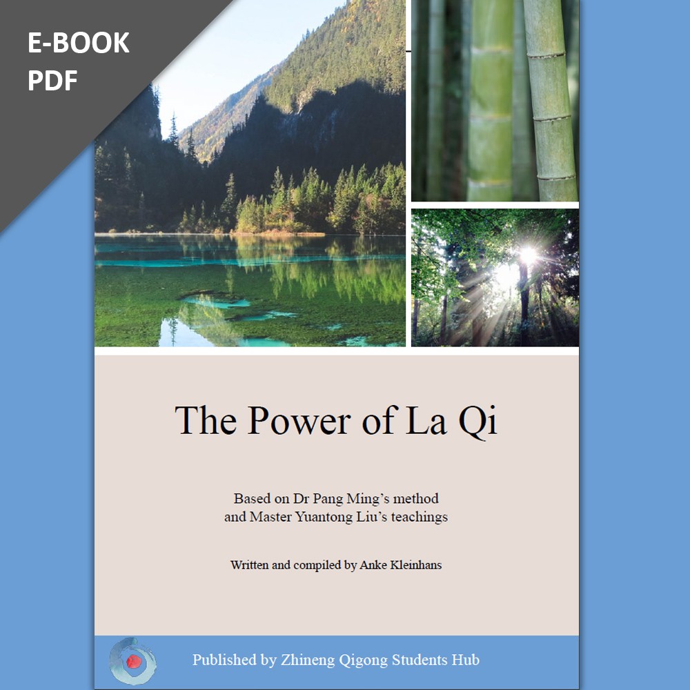 The Power of La Qi E-Book cover