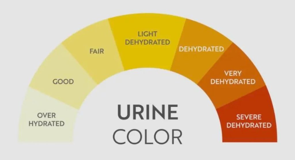 Urine color hydration chart