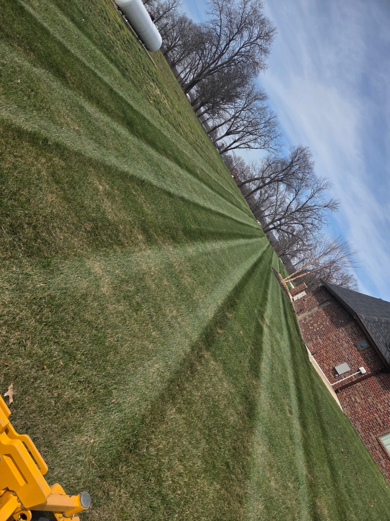 Yellow zero-turn mower doing leaf removal on lawn