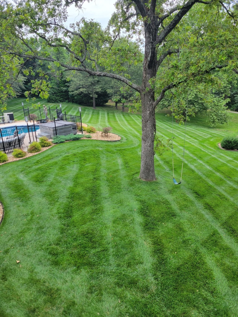 Striped lawn with backyard garden bed and brick border