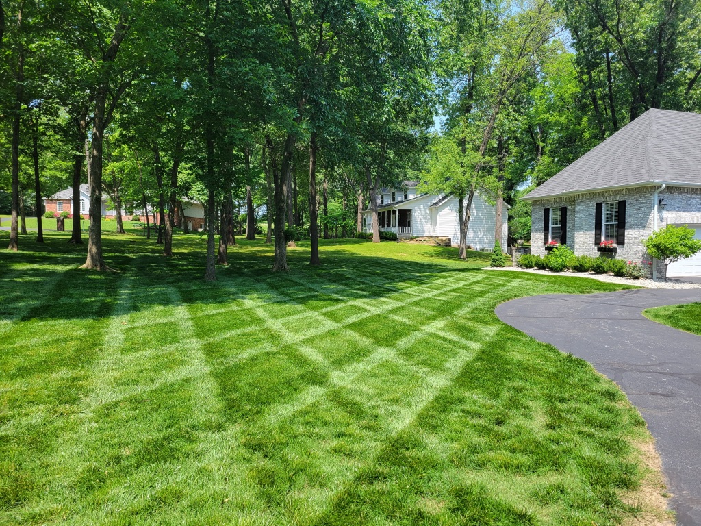 Striped residential lawn with trees and nearby street