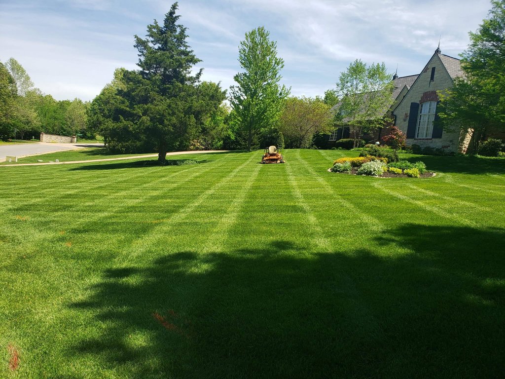 Sprawling estate lawn with mowing stripes and mower