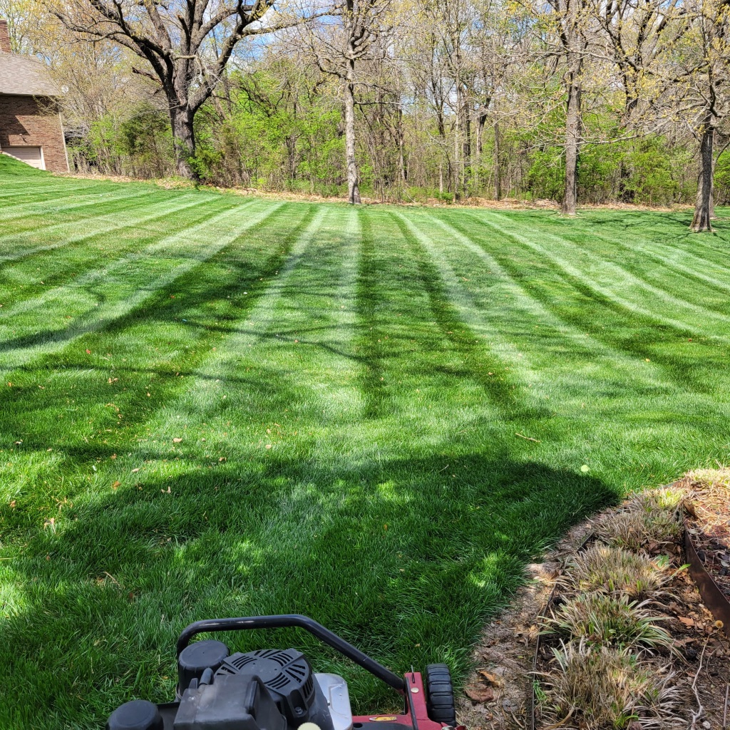 Striped lawn with fall leaf removal before and after
