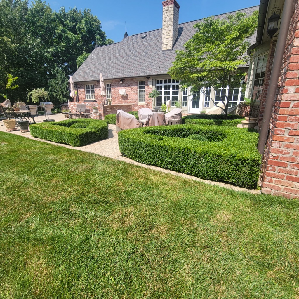 Fall leaf mulching with mower on frosty lawn