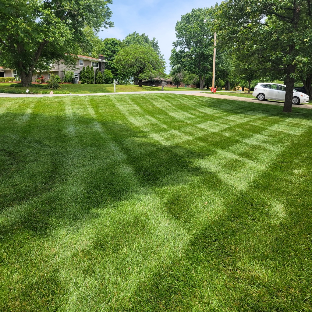 Mower striping lawn with retaining wall and Italian cypress trees