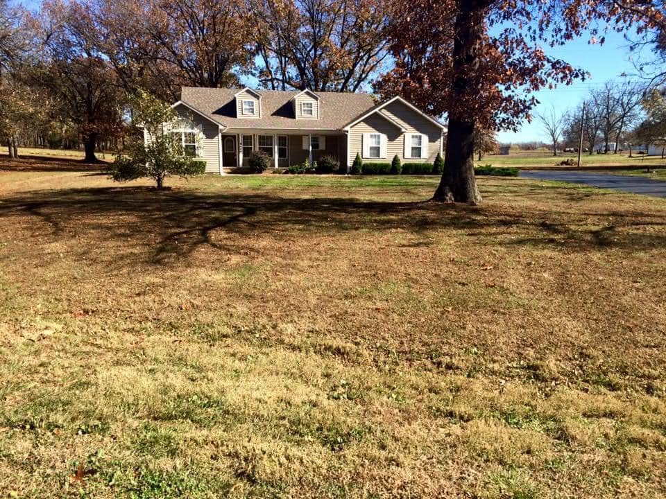 Fall lawn care with leaves and mowing stripes