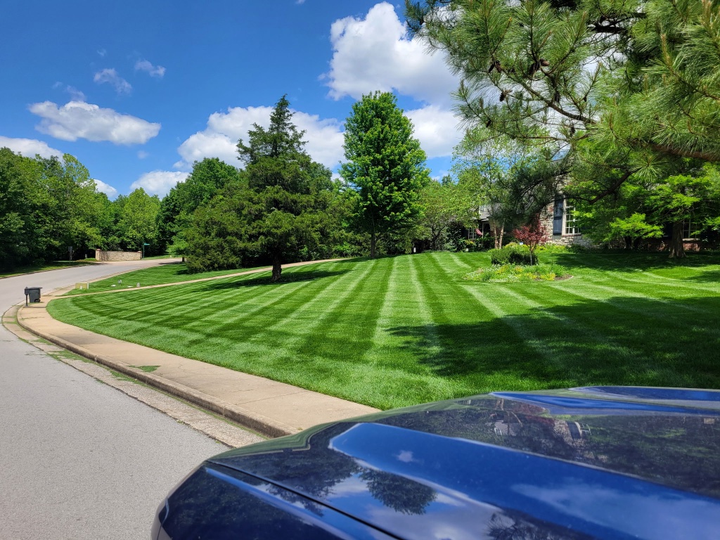 Estate lawn with curved striping pattern and pool area