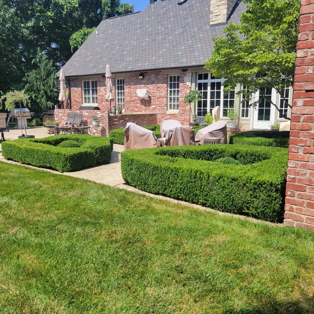 Patio mulch bed with boxwoods and ornamental plantings