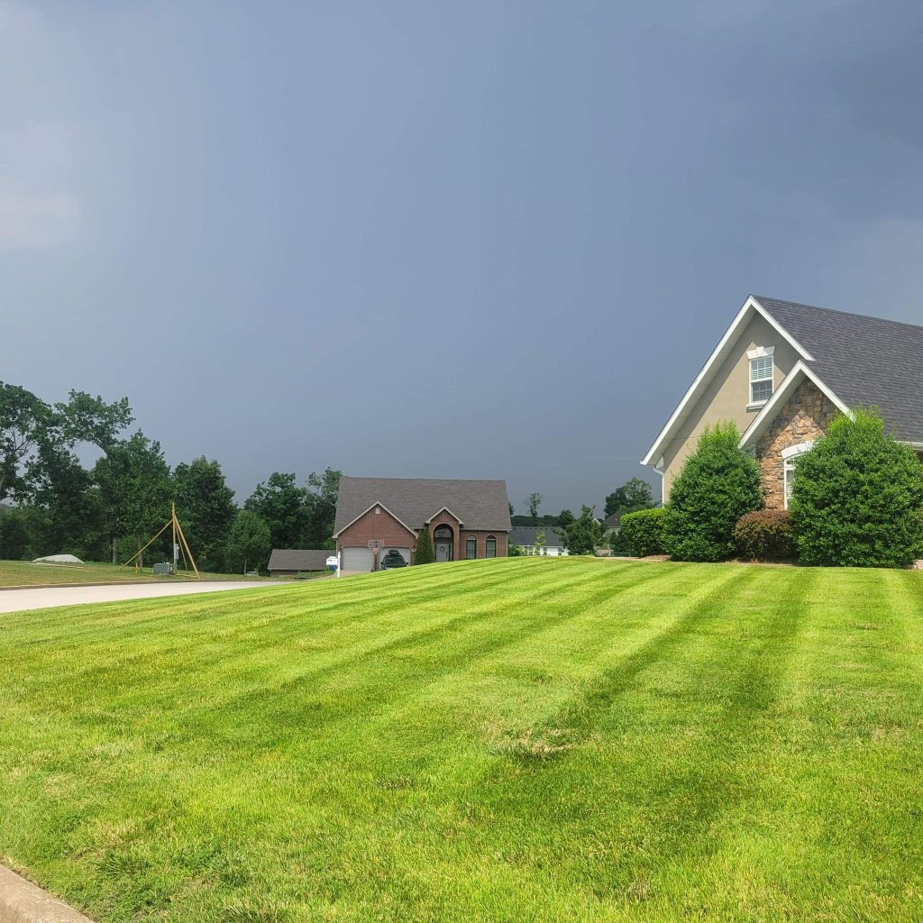 Residential lawn with perfect mowing stripes