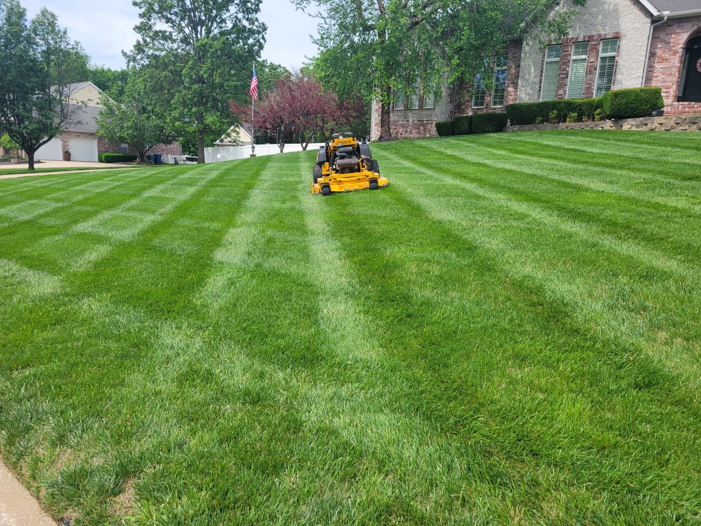 Mower striping large lawn with fall leaves