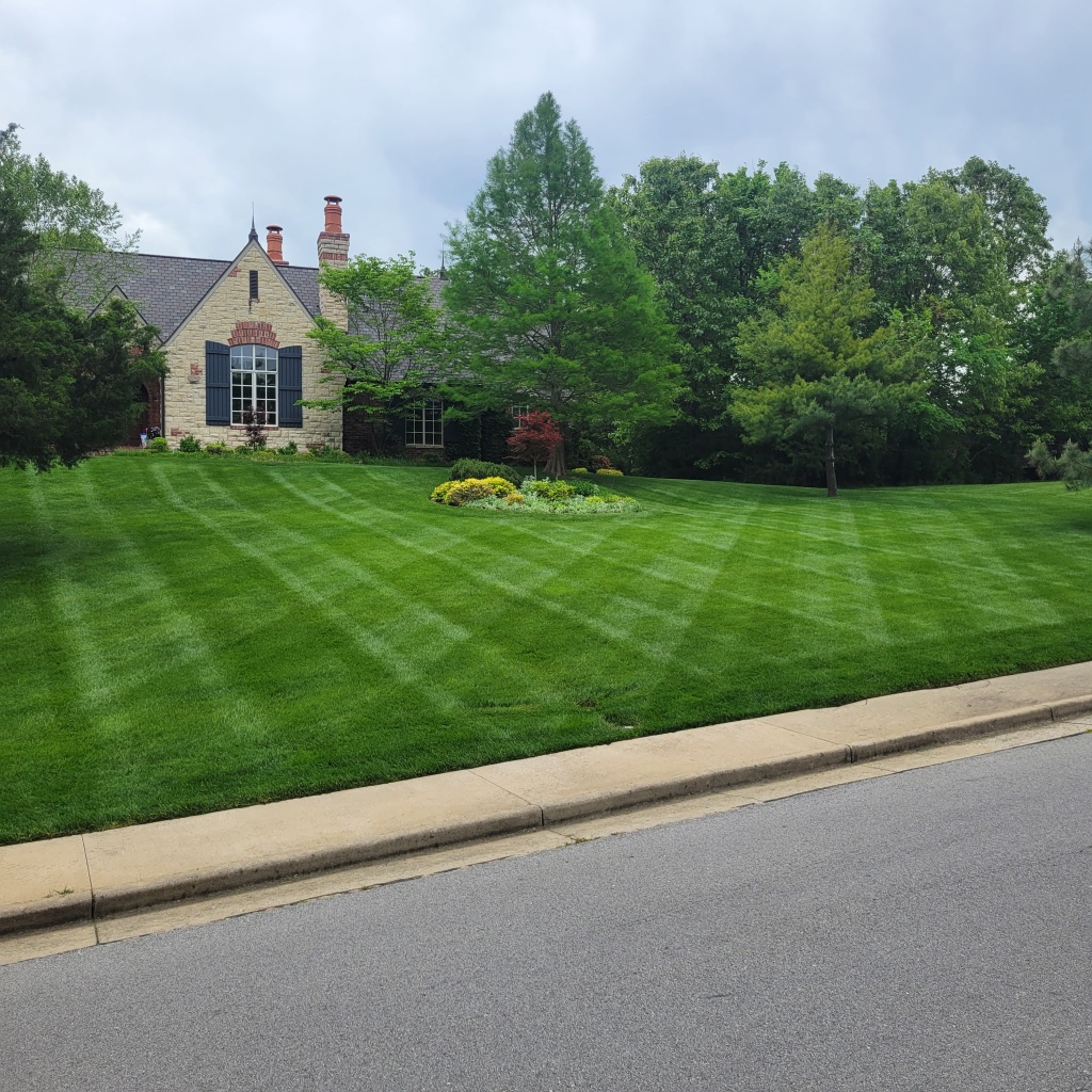 Wide striped estate lawn with retaining wall and cypress trees