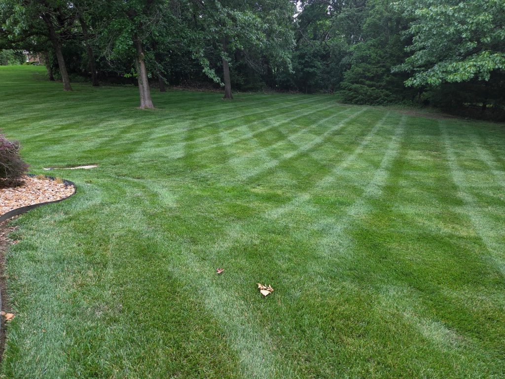 Cross-hatch mowing pattern on residential lawn