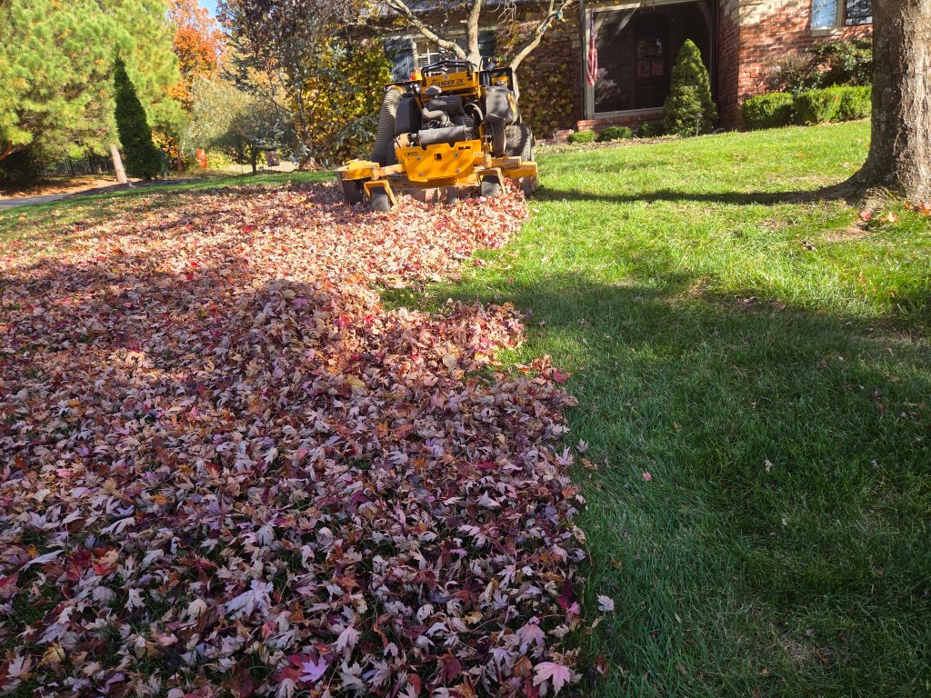 Commercial mower clearing autumn leaves from lawn