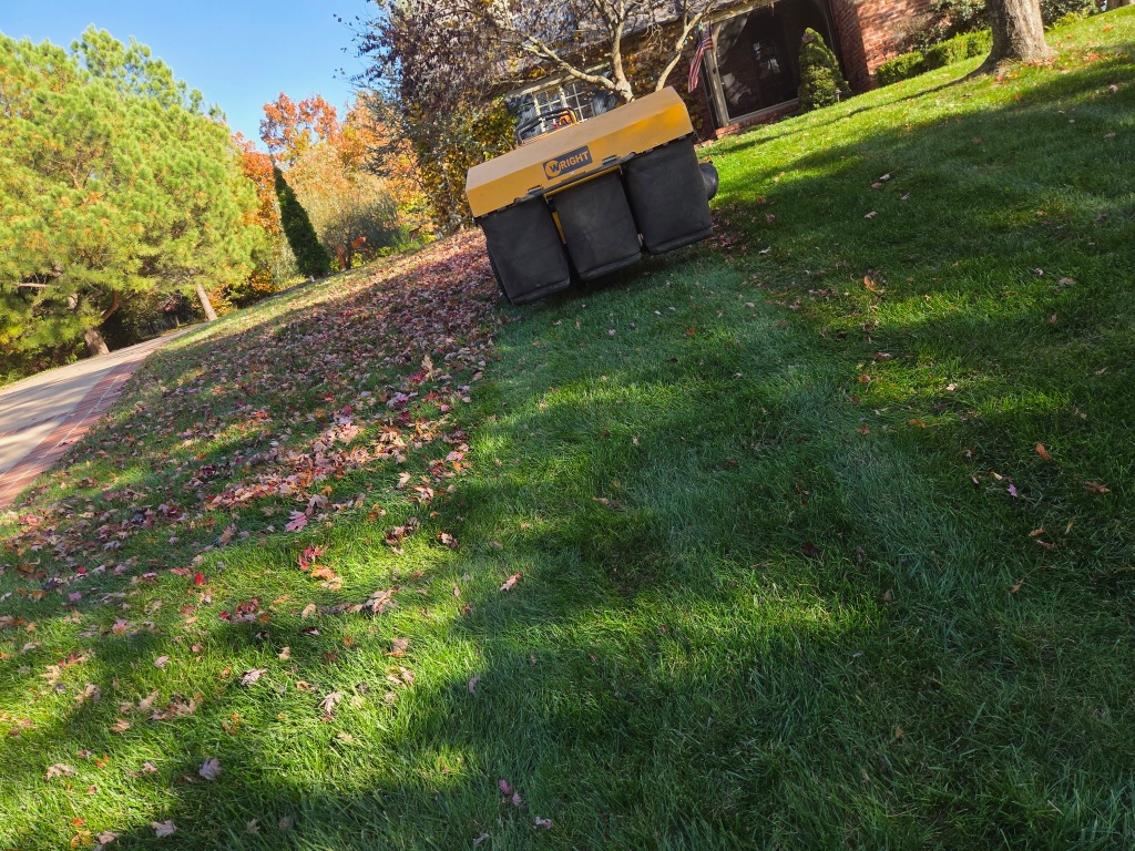 Perfectly striped lawn with fall foliage