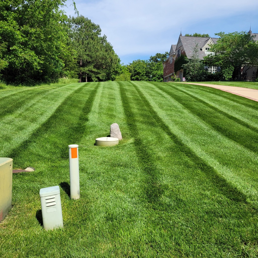 Fall leaf removal with mower showing clean vs leaf covered