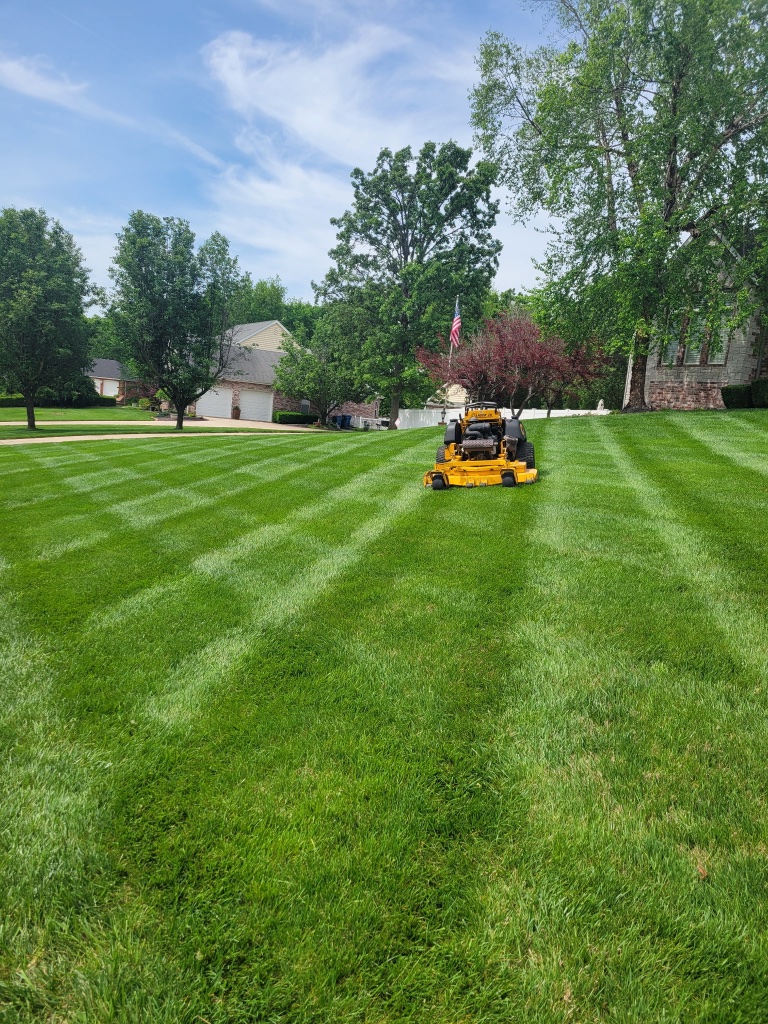 Mower striping large lawn with fall leaves