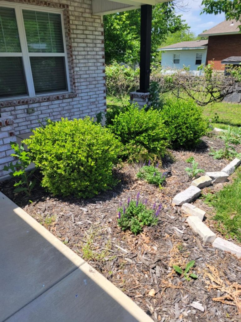Mulch bed with rounded shrubs and stone border curbing
