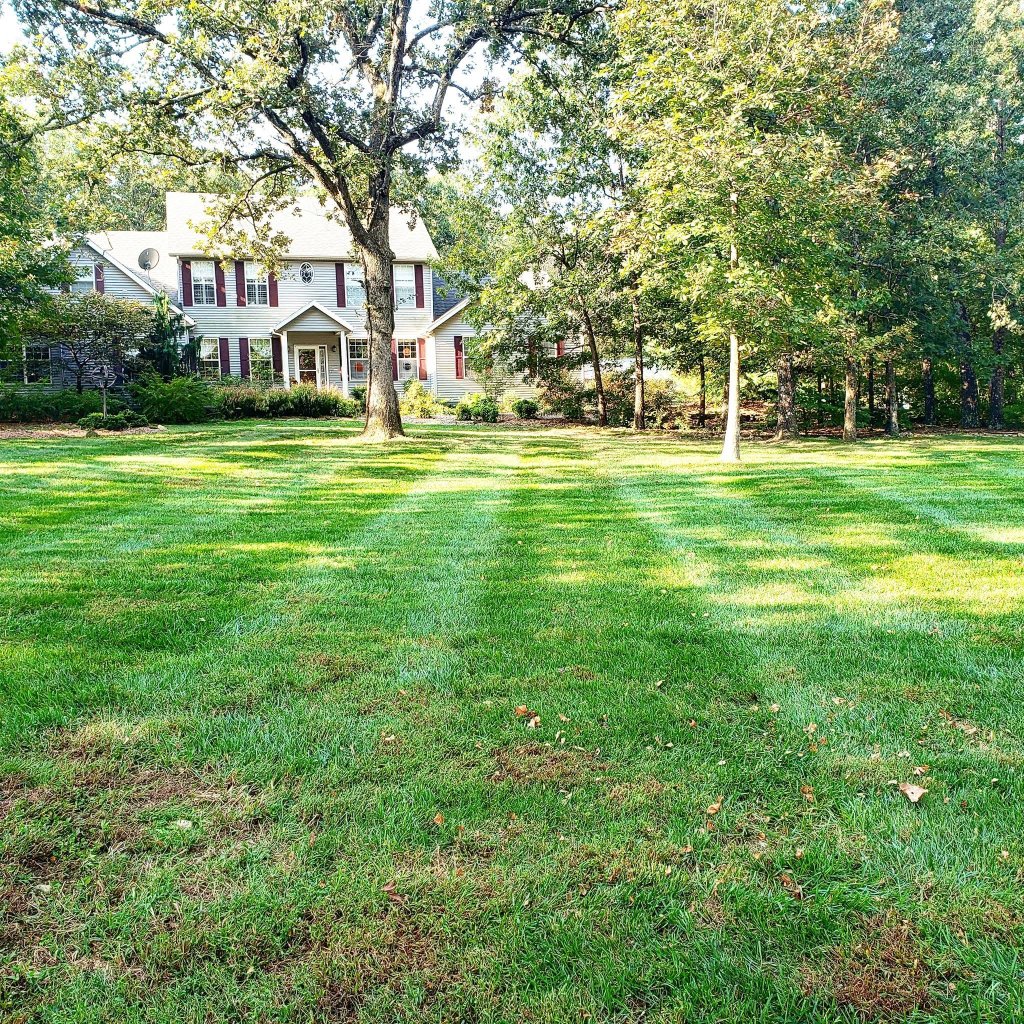 Residential lawn with mature trees and mowing stripes