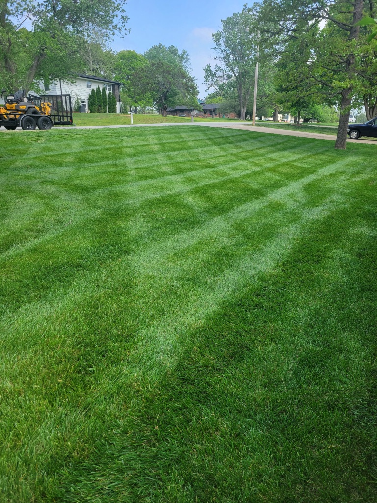Commercial hotel landscaping with trimmed boxwood hedge row