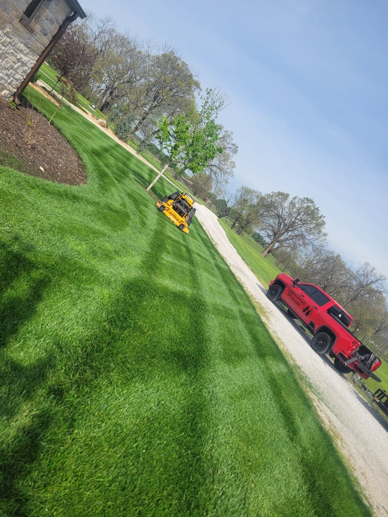 Striped hillside lawn with fall leaves and mower