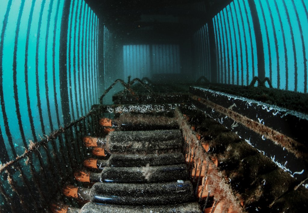 Nautilus Lanzarote - vino submarino 3