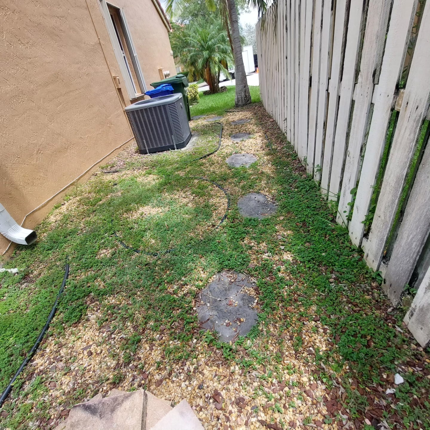 Before landscaping transformation