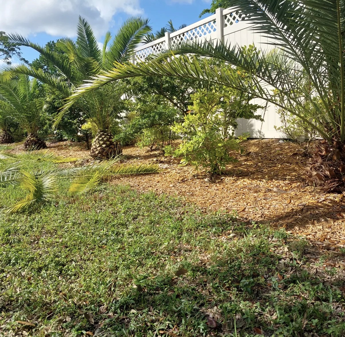 Garden Bed & Mulch Installation