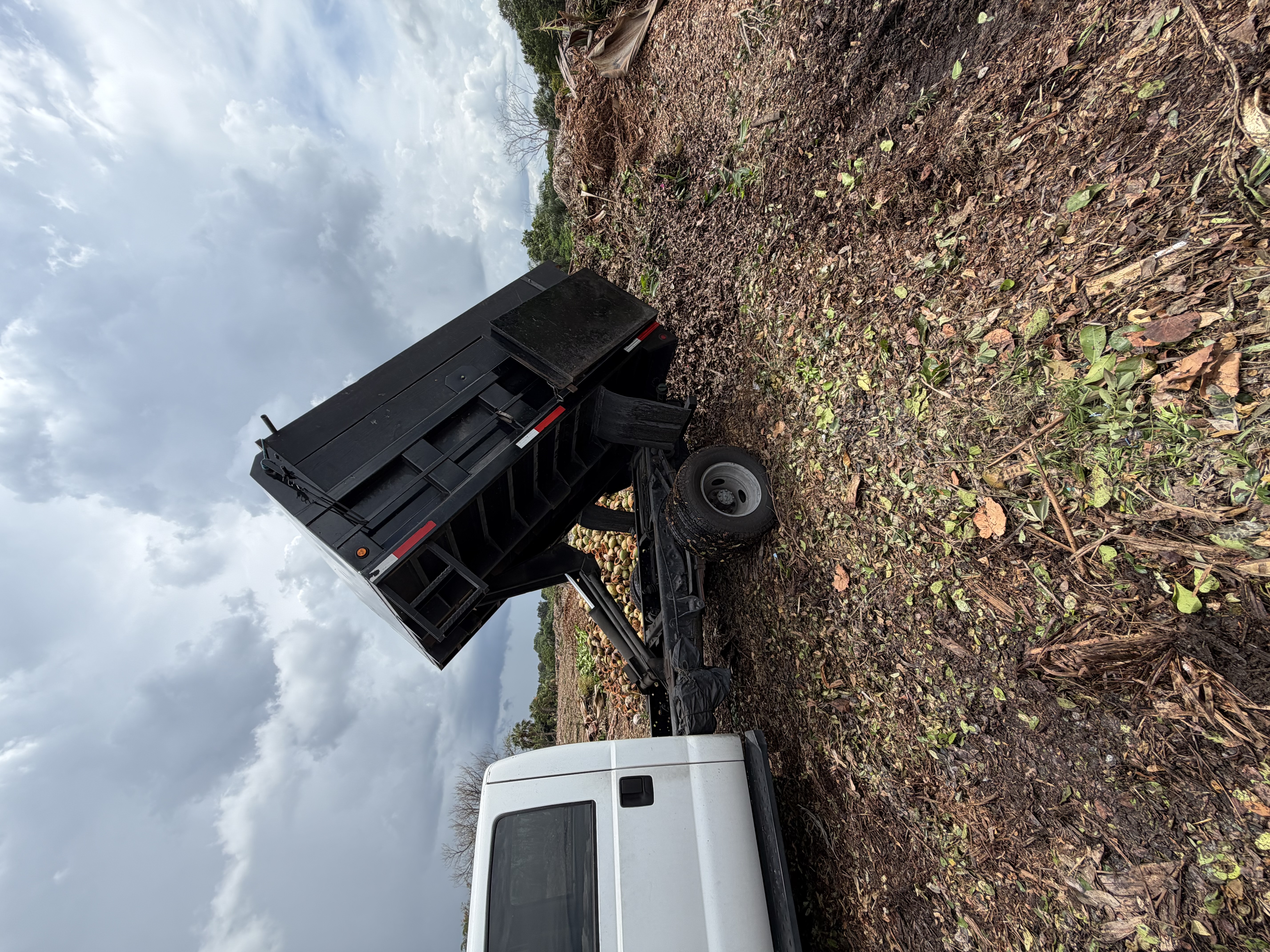Junk Removal