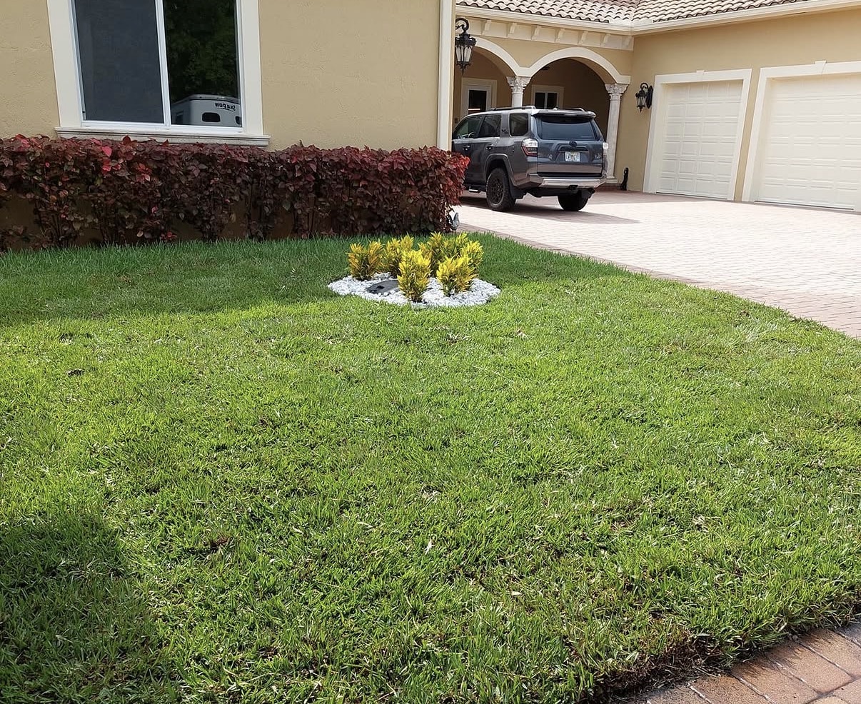 Sod Installation
