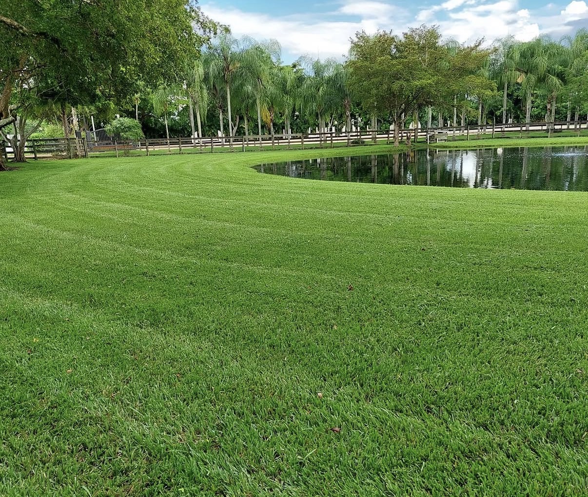Lakeside Lawn Care